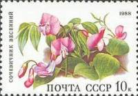 1988-064 Марка СССР Сочевичник весенний  Цветы широколиственных лесов II O