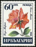(1985-059) Марка Болгария "Роза Мария"   Розы III Θ