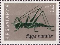 (1964-029) Марка Болгария "Сага (дыбка)"   Насекомые I Θ