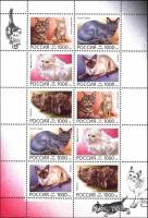 1996-007-11 Лист 10м 5х2 Россия 1000 руб x10  Домашние кошки III O