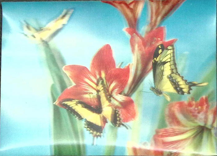 Стерео-открытка &quot;Бабочки&quot;, 10,5*14,5 см., Польша