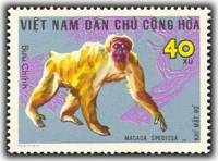 (1967-014) Марка Вьетнам "Медвежий макак"   Дикие животные II Θ