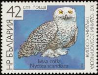 (1988-038) Марка Болгария "Белая сова"   Зоопарк Софии, 100 лет III O