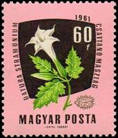 (1961-088) Марка Венгрия "Дурман обыкновенный"    Лекарственные растения III Θ