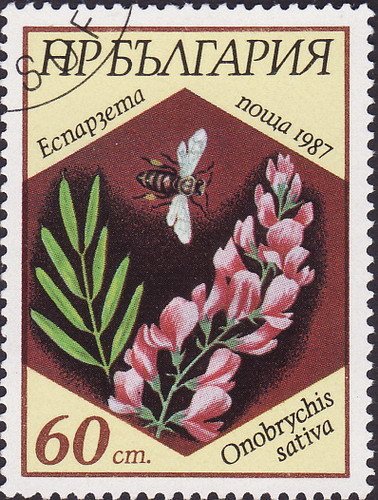 (1987-051) Марка Болгария &quot;Эспарцет виколистный&quot;   Пчелы и растения III Θ