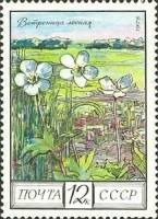 1975-108 Марка СССР Ветреница лесная  Флора III Θ