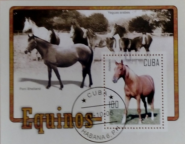 (№204) Блок марок Куба 2005 год &quot;Лошадь&quot;, Негашеный