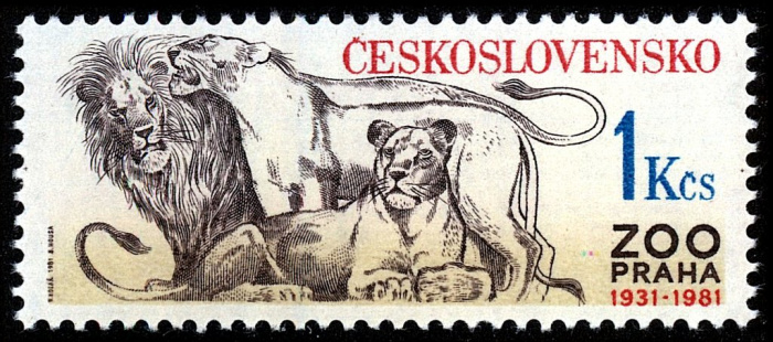 (1981-044) Марка Чехословакия &quot;Львы&quot;    50-летие Пражскогог зоопарка II Θ