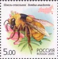 2005-045 Марка Россия Шмель-отшельник  Фауна. Насекомые: шмели III Θ