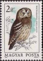 (1984-071) Марка Венгрия "Серая неясыть "    Защита птиц. Совы II Θ