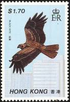 (№1988-538) Марка Гонконг 1988 год "Коршуна milvus мигранс", Гашеная