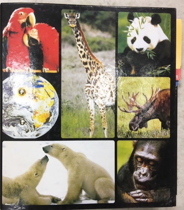 Альбом &quot;В мире дикой природы&quot; (сост. на фото)