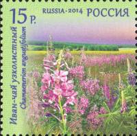2014-033 Марка Россия Иван-чай узколистный  Флора России. Полевые цветы III O