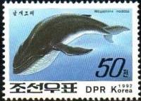 (1992-103) Марка Северная Корея "Горбатый кит"   Киты III Θ