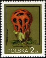 (1980-030) Марка Польша "Решёточник красный"    Грибы III Θ