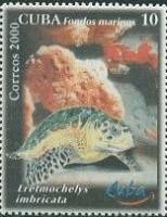 (№4314) Марка Куба 2000 год "Хоксбилл Черепаха Eretmochelys в", Гашеная