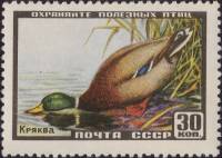 1957-034 Марка СССР Кряква   Фауна II O