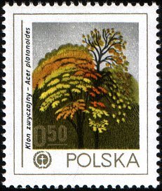 (1978-032) Марка Польша &quot;Клён остролистный&quot;    Охрана окружающей среды III O