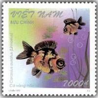 (№1997-2830) Марка из набора Вьетнам 1997 год "Blackveined Золотая рыбка Золотой рыбки", Гашеная