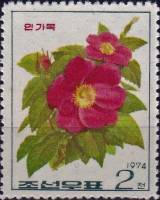 (1974-044) Марка Северная Корея "Шиповник иглистый"   Розы III Θ