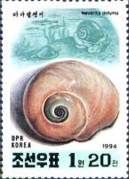 (1994-095) Марка Северная Корея ""   Морские моллюски и ракушки III Θ