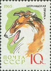 1965-017 Марка СССР Восточно-европейская овчарка   Служебные и охотничьи собаки II O