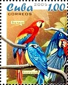 (№4684) Марка Куба 2005 год &quot;Скарлет Ара Ара Макао&quot;, Гашеная