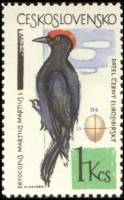 (1964-053) Марка Чехословакия "Черный дятел"    Птицы III O