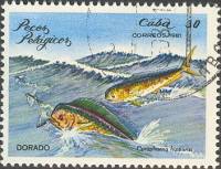 (1981-012) Марка Куба "Корифены"    Морские рыбы III O
