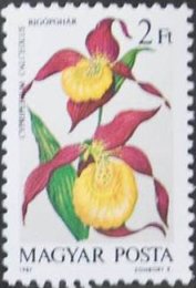 (1987-048) Марка Венгрия "Башмачок настоящий"    Орхидеи II &Theta;