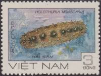 (1985-050a) Марка Вьетнам "Голотурия "  Без перфорации  Морские животные III Θ