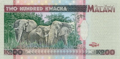 () Банкнота Малави 1995 год 200  &quot;&quot;   UNC