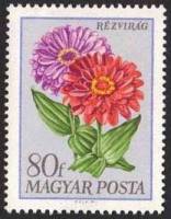 (1968-078) Марка Венгрия "Цинния изящная"    Садовые цветы III Θ