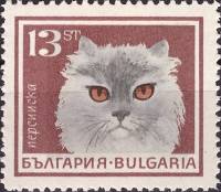(1967-026) Марка Болгария "Персидская белая"   Домашние кошки II O
