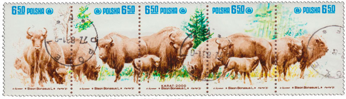 (1981-044) Сцепка марок (5 м) Польша &quot;Зубры&quot;    Охрана природы. Зубры III Θ