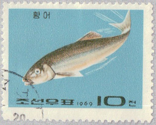 (1969-054) Марка Северная Корея &quot;Елец&quot;   Промысловые рыбы III Θ