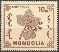 (1968-010) Марка Монголия "Черная смородина "    Ягоды III O