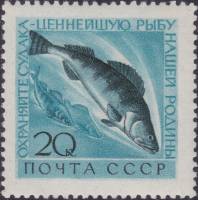 1960-077 Марка СССР Судак   Фауна СССР. Охрана ценных рыб и морских животных II Θ