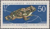 (1963-049) Марка Германия (ГДР) "Зеленая жаба"    Охраняемые животные II Θ