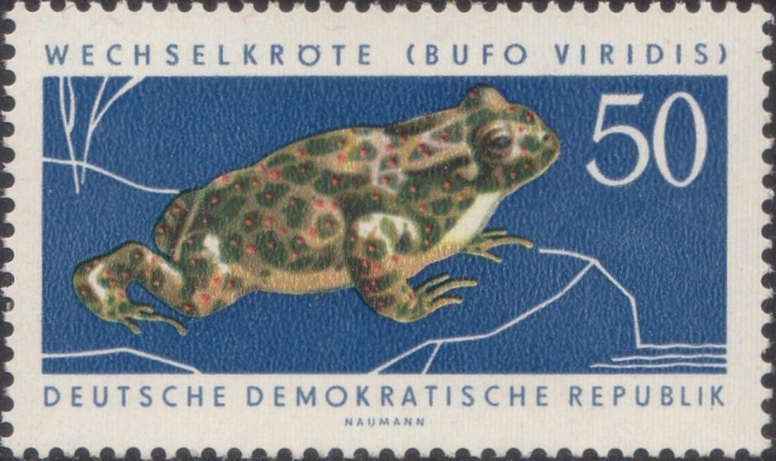 (1963-049) Марка Германия (ГДР) &quot;Зеленая жаба&quot;    Охраняемые животные II Θ