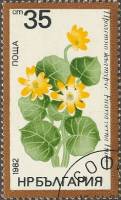 (1982-027) Марка Болгария "Чистяк весенний"   Лекарственные растения II Θ