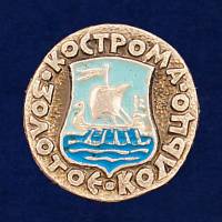 29277\131202 Значок "г Кострома"