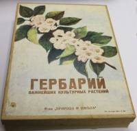 Гербарий важнейших культурных растений для курса ботаники 6-го класса 1971 год СССР, коробка, идеал