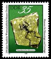 (1978-095) Марка Германия (ГДР) "Ископаемая лягушка"    Музей Дрездена, 250 лет II Θ