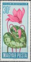 (1966-013) Марка Венгрия "Цикламен альпийский"    Цветы под защитой III Θ
