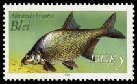 (1987-039) Марка Германия (ГДР) "Лещ"    Пресноводная рыба III O