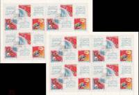 1968-028-30  Листы (2 шт по 24 м 6х24) СССР  Бумага не UV и UV День космонавтики III O