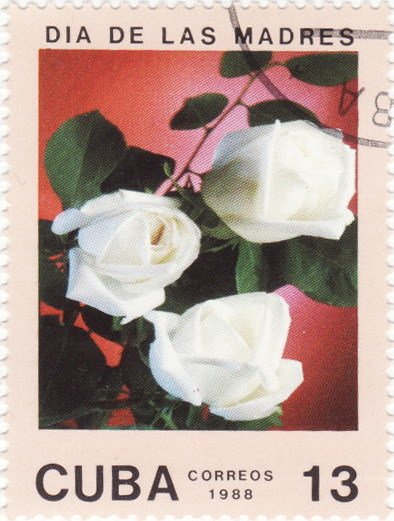 (1988-022) Марка Куба &quot;Розы белые&quot;    Цветы II Θ