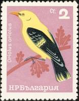 (1965-022) Марка Болгария "Иволга"   Певчие птицы III Θ