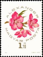 (1964-062) Марка Венгрия "Александр"    Национальная выставка абрикосов в Сегеде III Θ